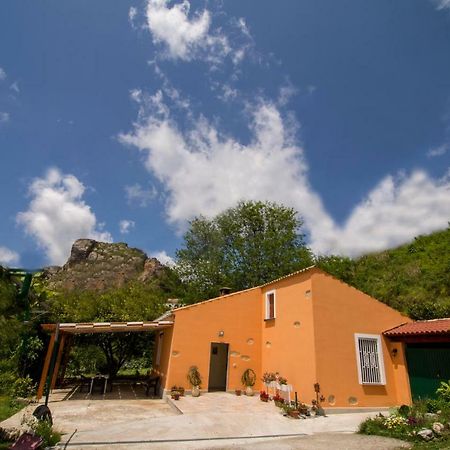 B&B Casa Vacanze Benvenuti Al Sud Aiello Calabro Dış mekan fotoğraf