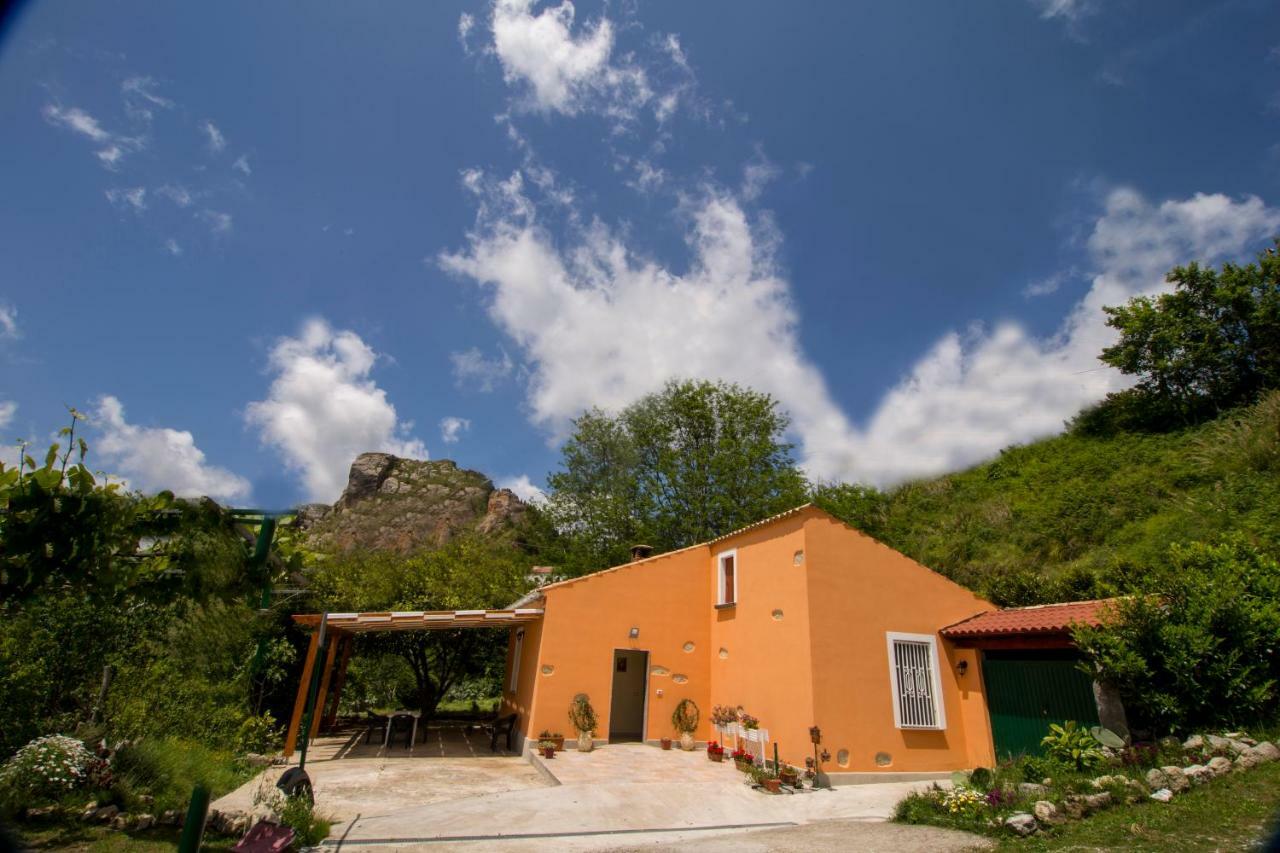 B&B Casa Vacanze Benvenuti Al Sud Aiello Calabro Dış mekan fotoğraf